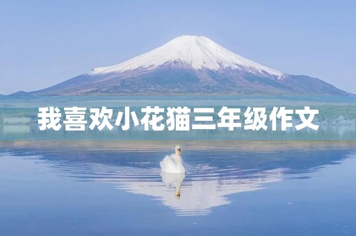 我喜欢小花猫三年级作文