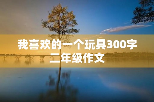 我喜欢的一个玩具300字二年级作文