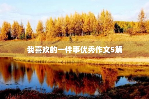 我喜欢的一件事优秀作文5篇