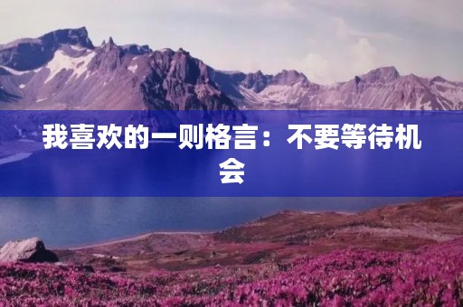 我喜欢的一则格言:不要等待机会,而要创造机会 我喜欢的一则格言:不要等待机会,而要创造机会