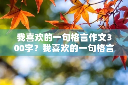 我喜欢的一句格言作文300字?我喜欢的一句格言作文300字左右 我喜欢的一句格言作文300字?我喜欢的一句格言作文300字左右