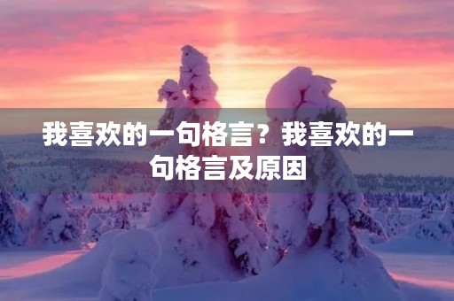 我喜欢的一句格言？我喜欢的一句格言及原因