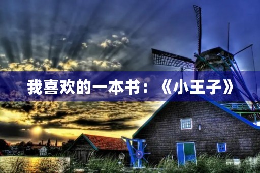 我喜欢的一本书:《小王子》 我喜欢的一本书:《小王子》