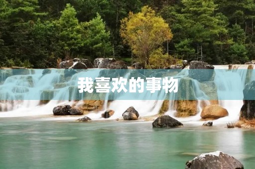 我喜欢的事物