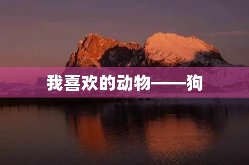 我喜欢的动物——狗