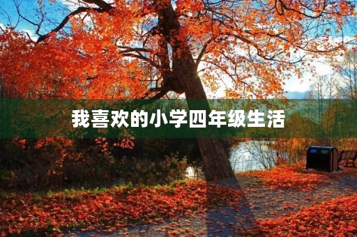 我喜欢的小学四年级生活