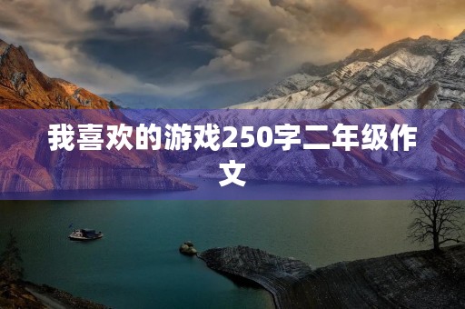 我喜欢的游戏250字二年级作文
