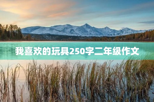 我喜欢的玩具250字二年级作文