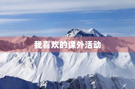 我喜欢的课外活动