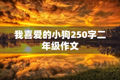 我喜爱的小狗250字二年级作文