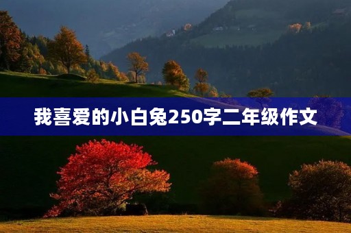 我喜爱的小白兔250字二年级作文