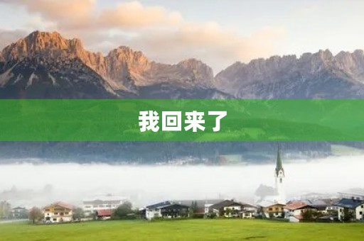 我回来了 我回来了