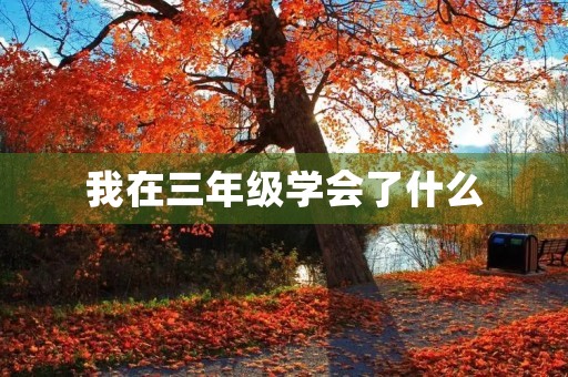 我在三年级学会了什么