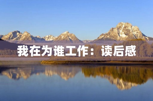 我在为谁工作:读后感 我在为谁工作:读后感