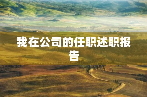 我在公司的任职述职报告