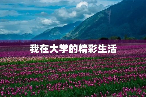 我在大学的精彩生活 我在大学的精彩生活