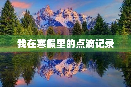 我在寒假里的点滴记录 我在寒假里的点滴记录