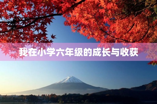 我在小学六年级的成长与收获 我在小学六年级的成长与收获