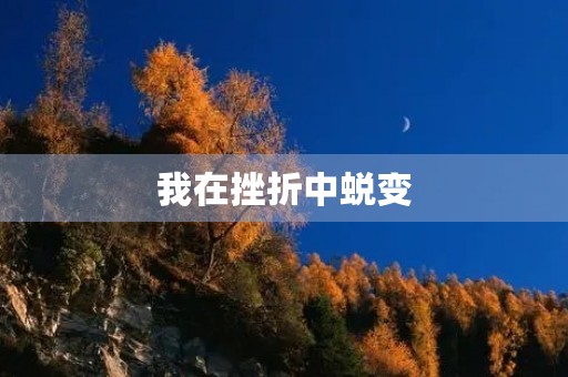 我在挫折中蜕变