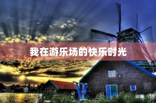 我在游乐场的快乐时光