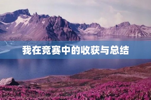 我在竞赛中的收获与总结