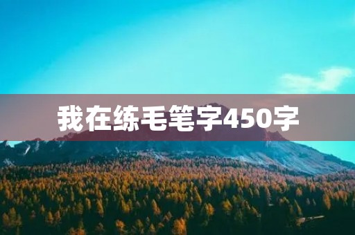我在练毛笔字450字