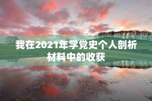 我在2021年学党史个人剖析材料中的收获