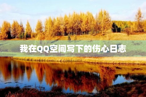 我在QQ空间写下的伤心日志