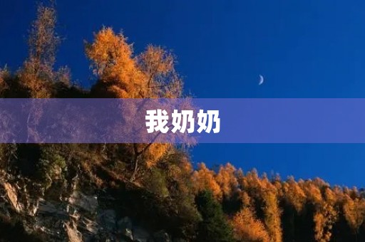 我奶奶,一位普通而伟大的老人 我奶奶,一位普通而伟大的老人