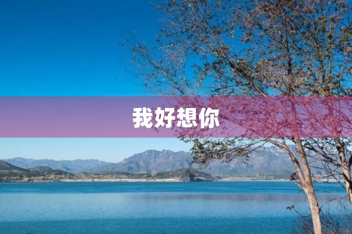 我好想你 我好想你