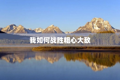 我如何战胜粗心大敌 我如何战胜粗心大敌