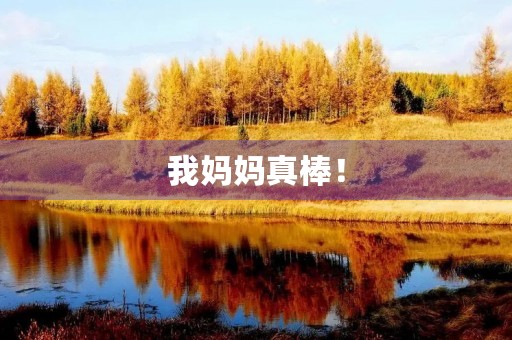 我妈妈真棒! 我妈妈真棒!