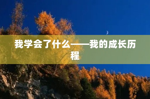 我学会了什么——我的成长历程