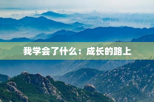我学会了什么：成长的路上