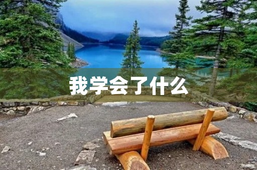 我学会了什么