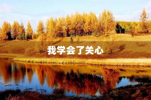 我学会了关心 我学会了关心