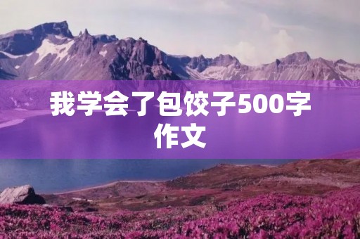 我学会了包饺子500字作文
