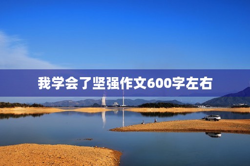 我学会了坚强作文600字左右