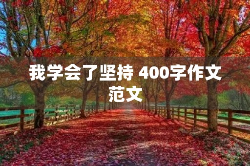 我学会了坚持 400字作文范文