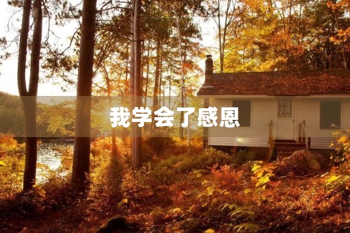 我学会了感恩