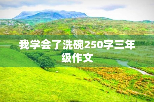 我学会了洗碗250字三年级作文