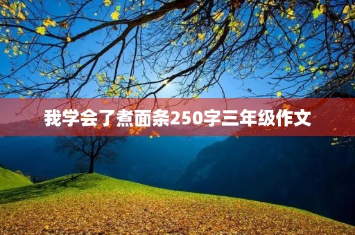 我学会了煮面条250字三年级作文 我学会了煮面条250字三年级作文
