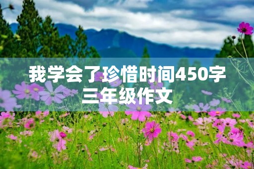 我学会了珍惜时间450字三年级作文 我学会了珍惜时间450字三年级作文