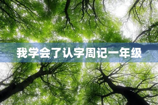 我学会了认字周记一年级