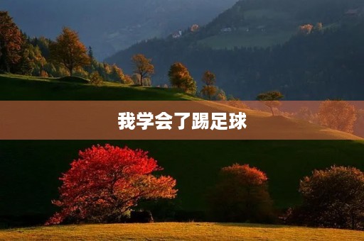 我学会了踢足球 我学会了踢足球