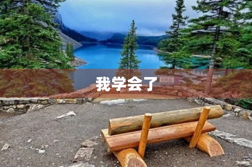 我学会了 我学会了