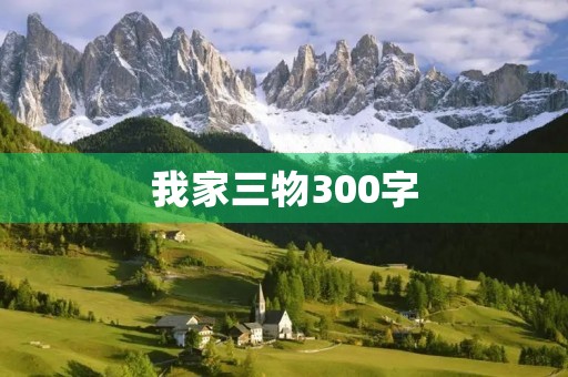 我家三物300字