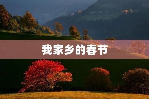我家乡的春节
