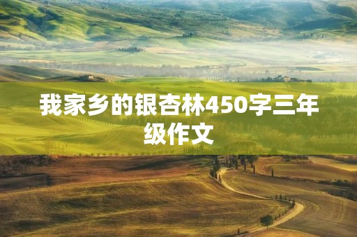 我家乡的银杏林450字三年级作文