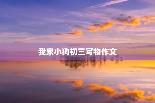 我家小狗初三写物作文 我家小狗初三写物作文